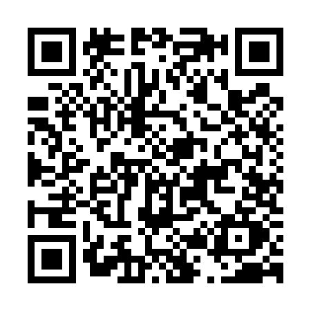 QR code for D295