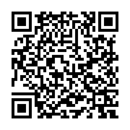 QR code for D338