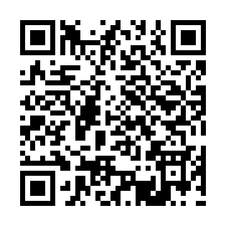 QR code for D3863