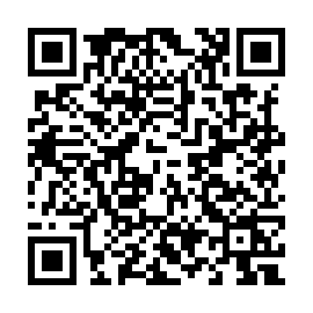 QR code for D919