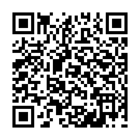 QR code for D9528