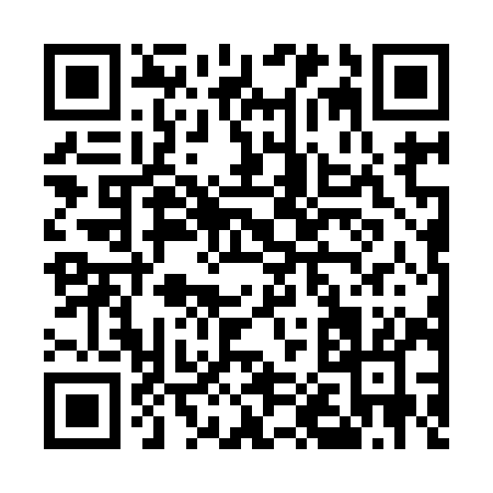 QR code for E0699