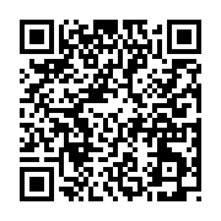 QR code for E1251