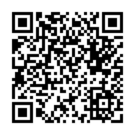 QR code for E1313