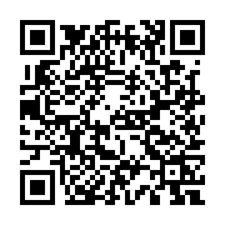 QR code for E251