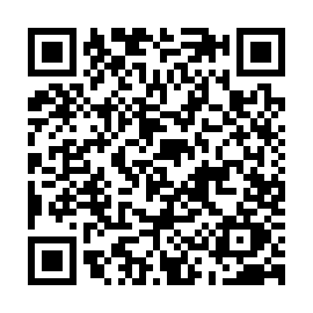 QR code for E313