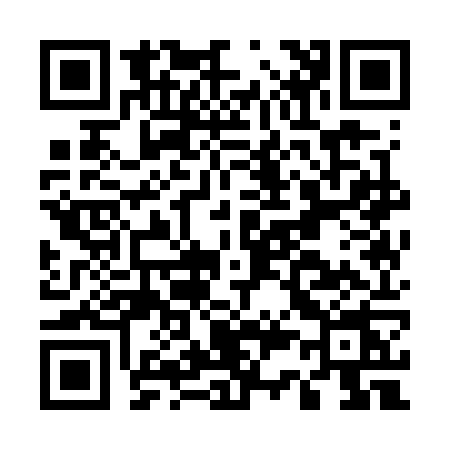 QR code for E317