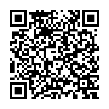 QR code for E376