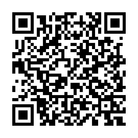 QR code for E441