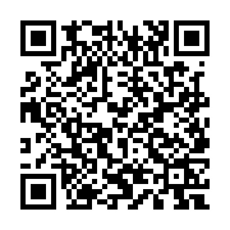 QR code for E461