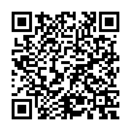 QR code for E595