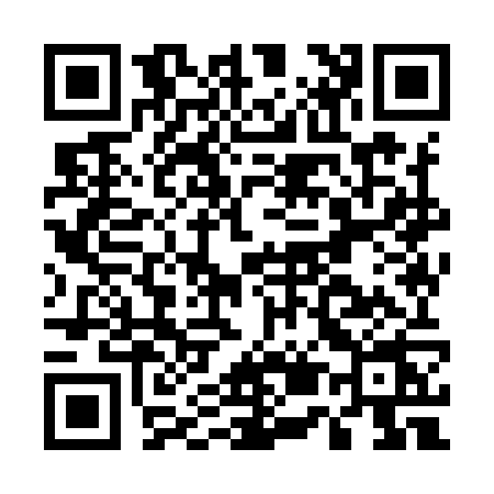 QR code for E599