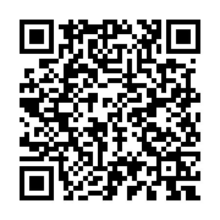 QR code for E925