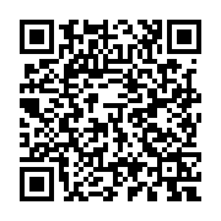 QR code for E981