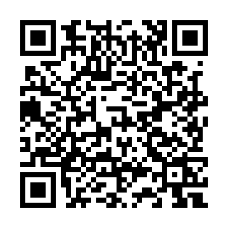 QR code for F381