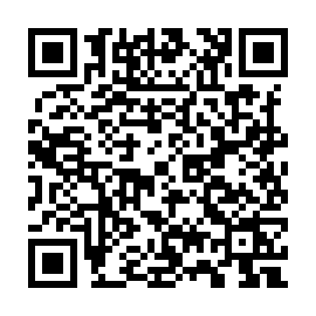 QR code for G729