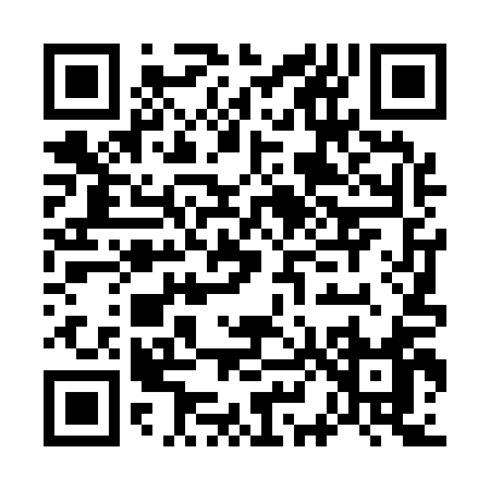 QR code for G8411