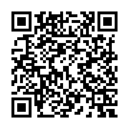 QR code for H029