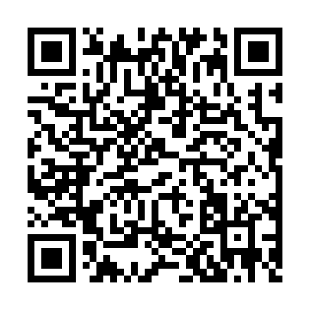 QR code for H0738