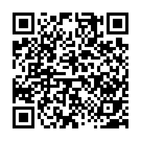 QR code for H1163