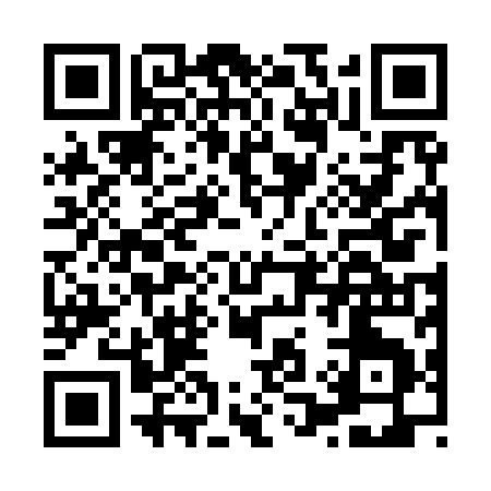 QR code for H1299