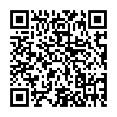 QR code for H1595
