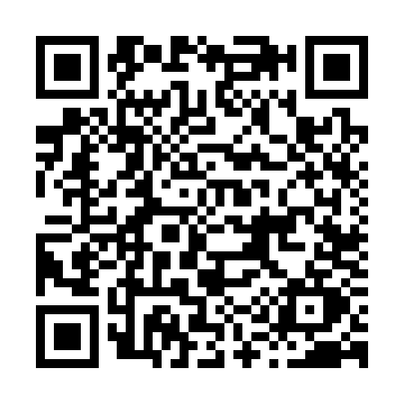 QR code for H163