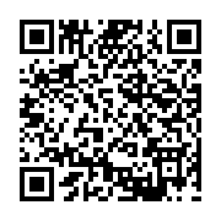 QR code for H2163
