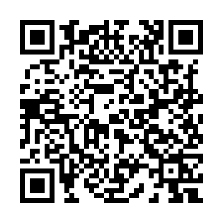 QR code for H229