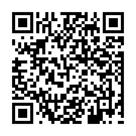 QR code for H238
