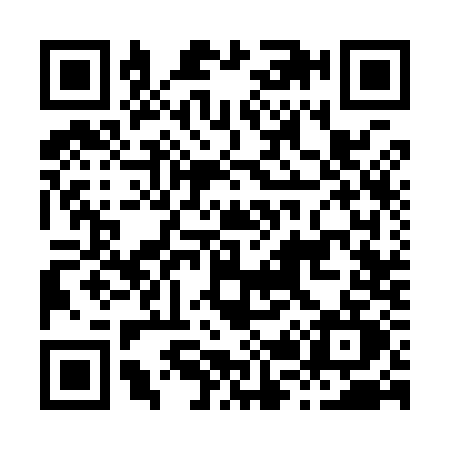QR code for H239