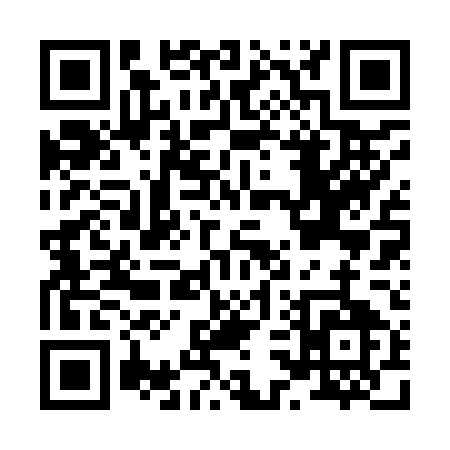 QR code for H3295