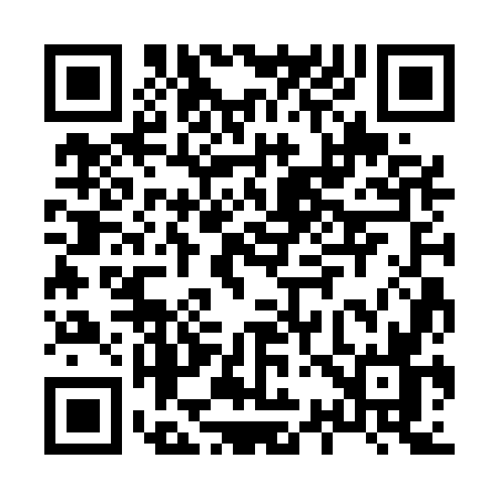 QR code for H335