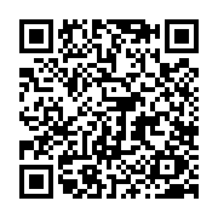 QR code for H385