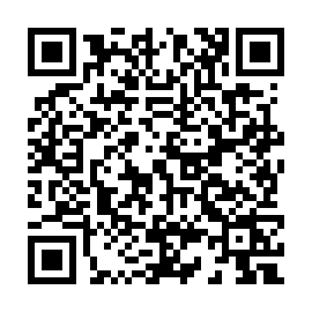 QR code for H387