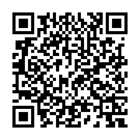 QR code for H411