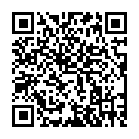 QR code for H4384