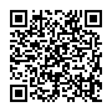 QR code for H4393