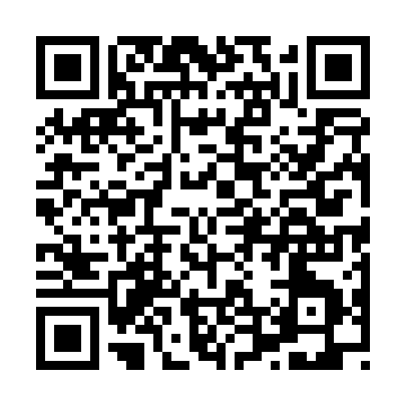 QR code for H4501