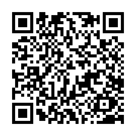 QR code for H501