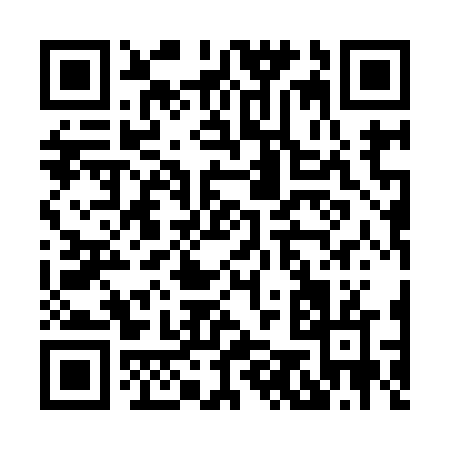 QR code for H5196