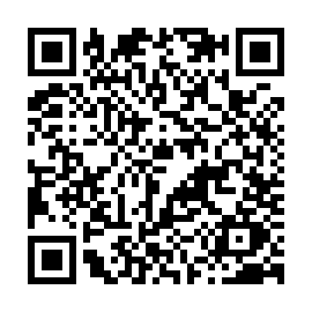 QR code for H539