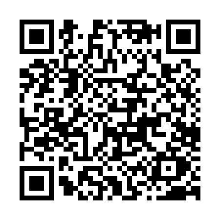 QR code for H601