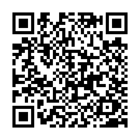 QR code for H636