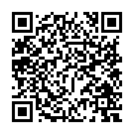 QR code for H7396