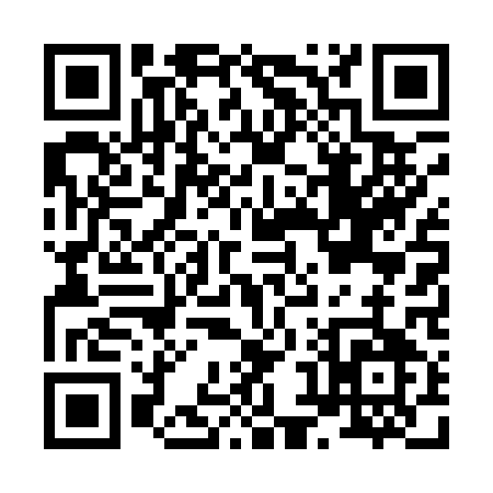 QR code for H8411