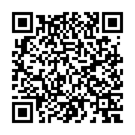 QR code for H873