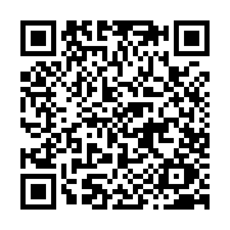 QR code for H919