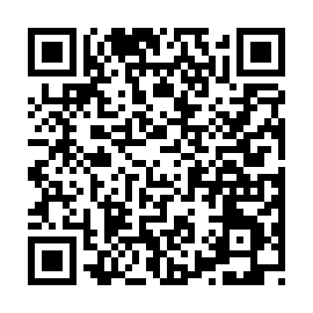 QR code for H9208