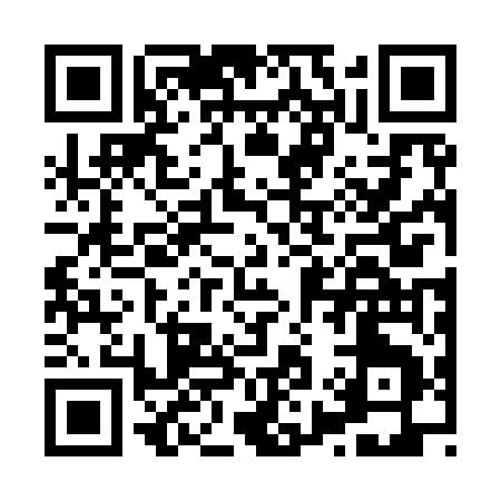 QR code for H9295